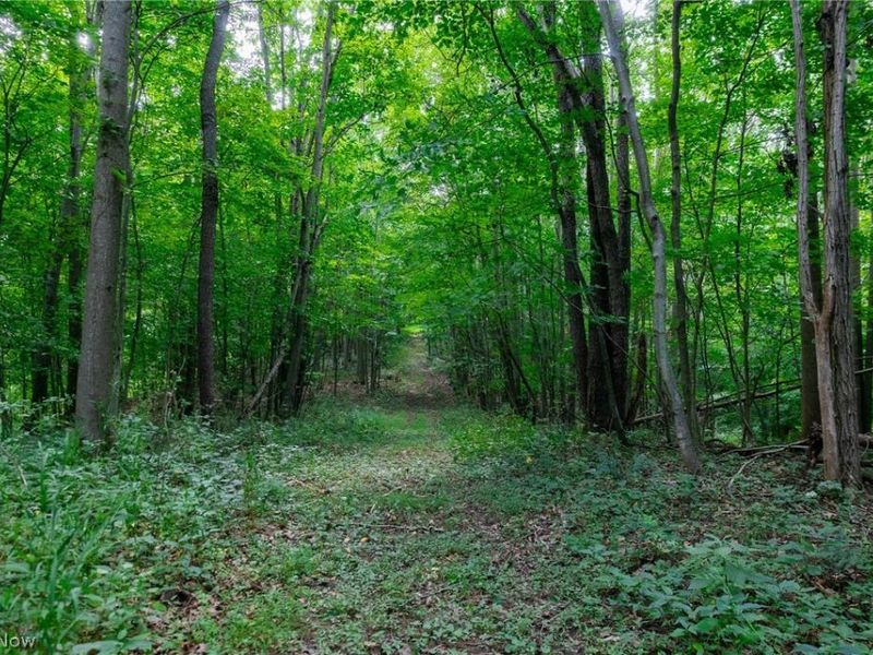 Hill Road, Dresden, OH 43821 Photo 30