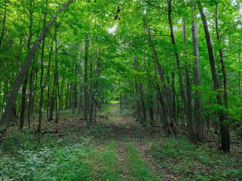 Hill Road, Dresden, OH 43821 Photo 32