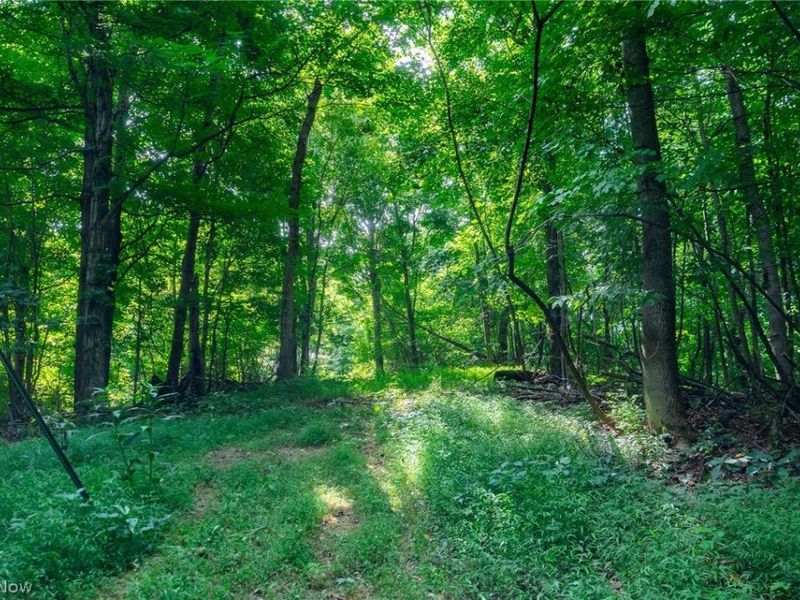 Hill Road, Dresden, OH 43821 Photo 34