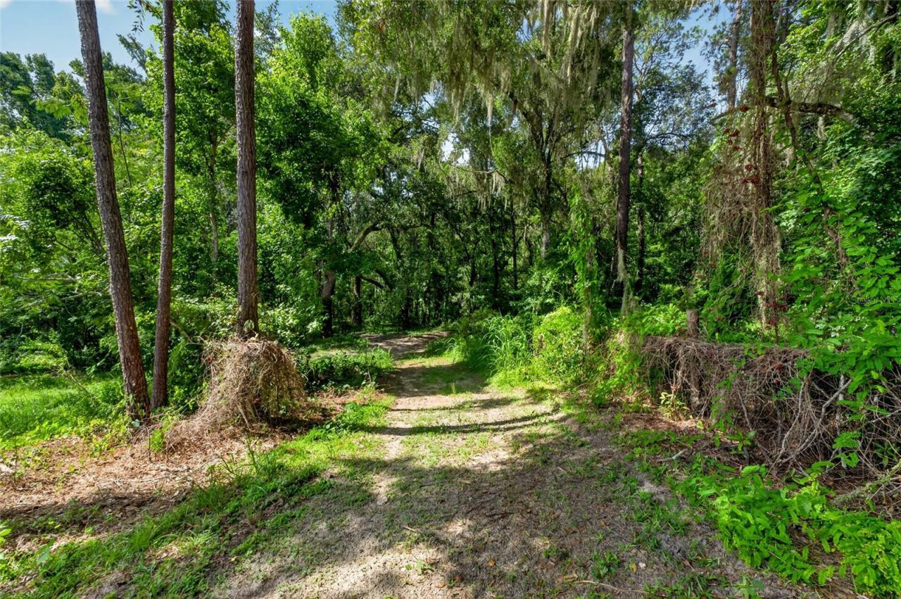 28211 Magnon Drive, Brooksville, FL 34601 Photo
