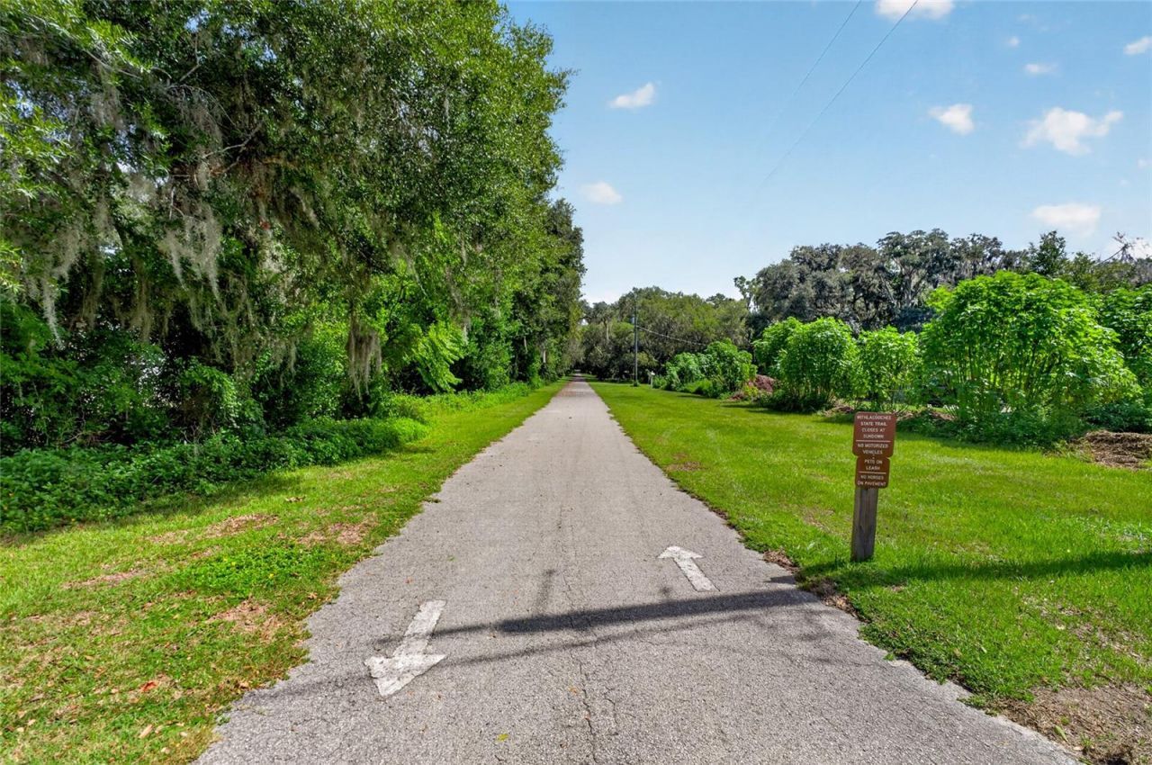 28211 Magnon Drive, Brooksville, FL 34601 Photo