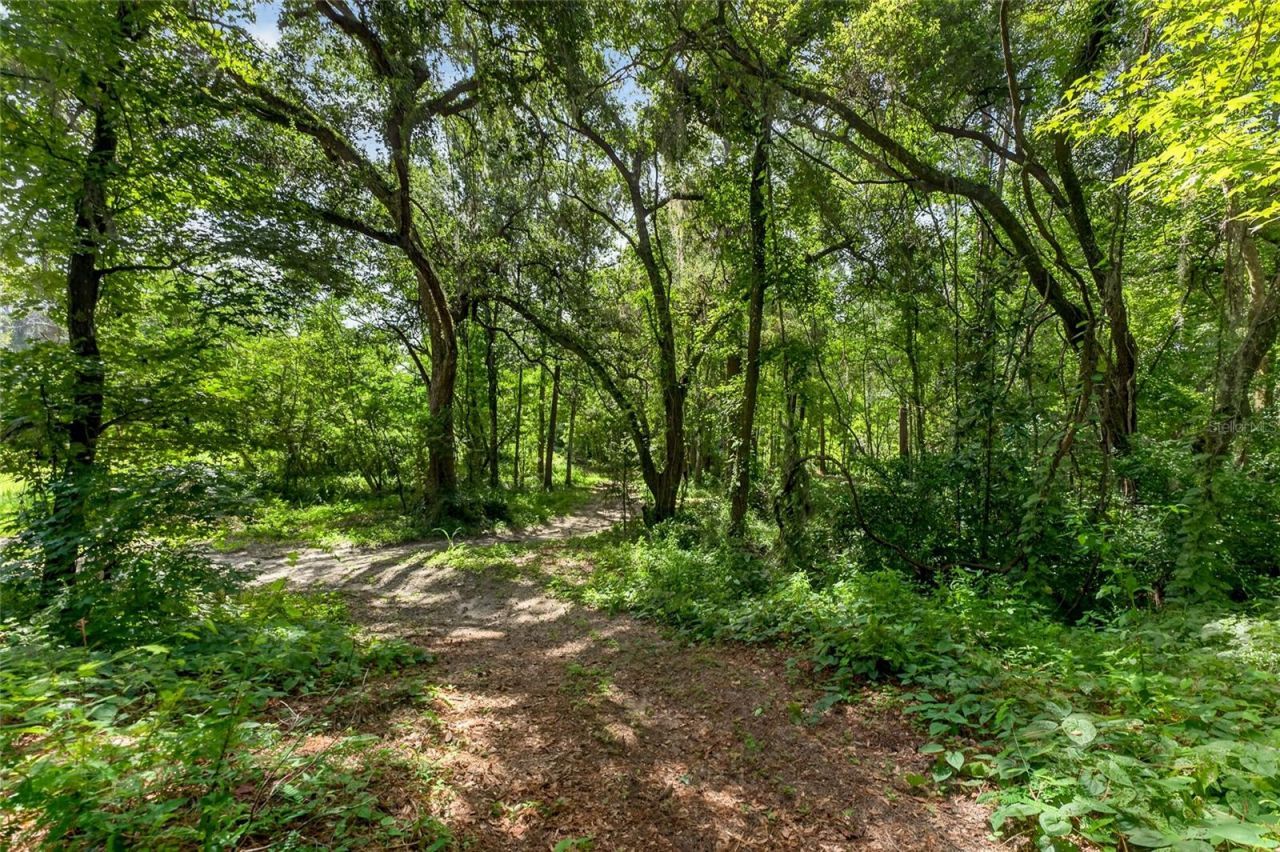 28211 Magnon Drive, Brooksville, FL 34601 Photo