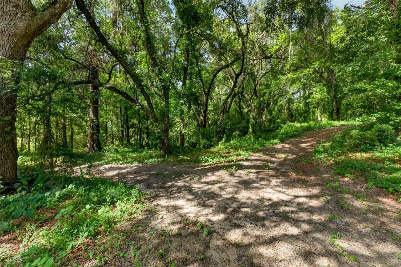 28211 Magnon Drive, Brooksville, FL 34601 Photo