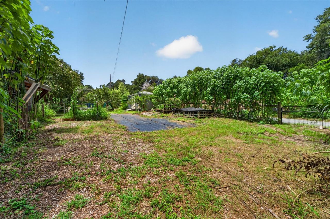 28211 Magnon Drive, Brooksville, FL 34601 Photo