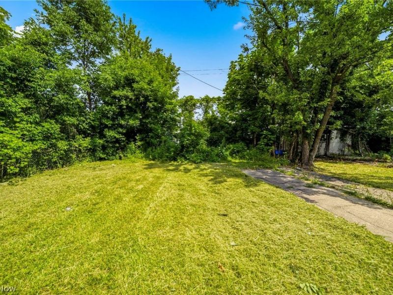 13405 Bartlett Avenue, Cleveland, OH 44120 Photo 27