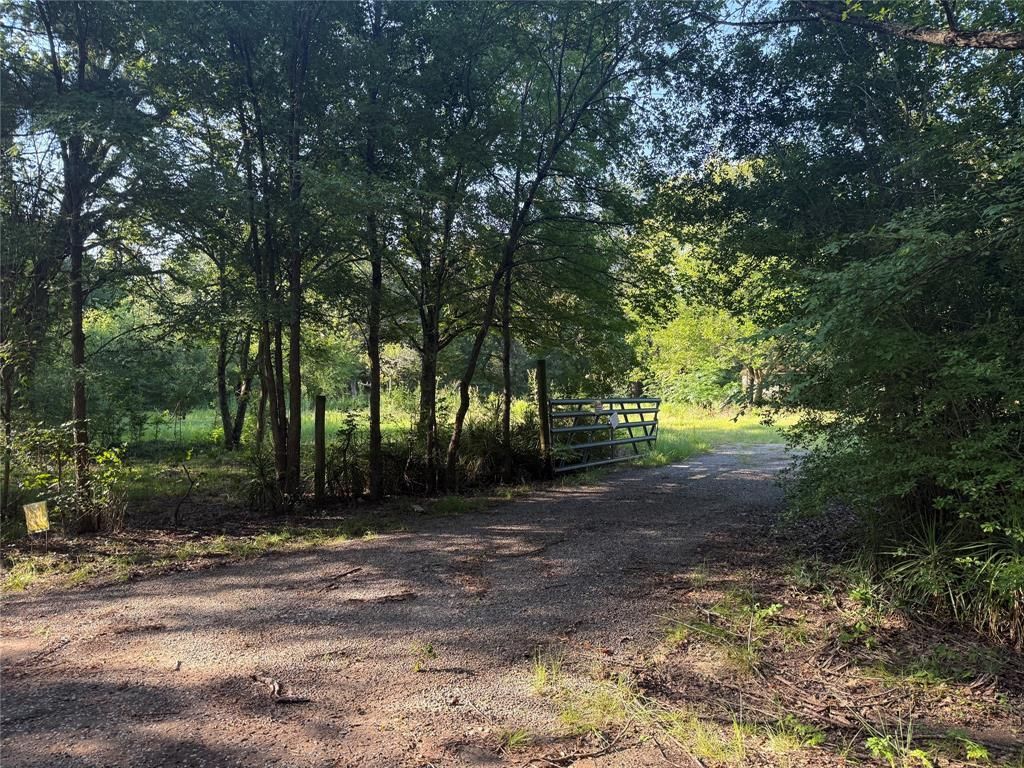 175 Fcr, Lot #1128, Streetman, TX 75859 Main Photo