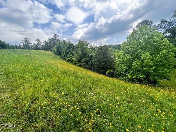 6213 Outlook Trail, Russellville, TN 37860