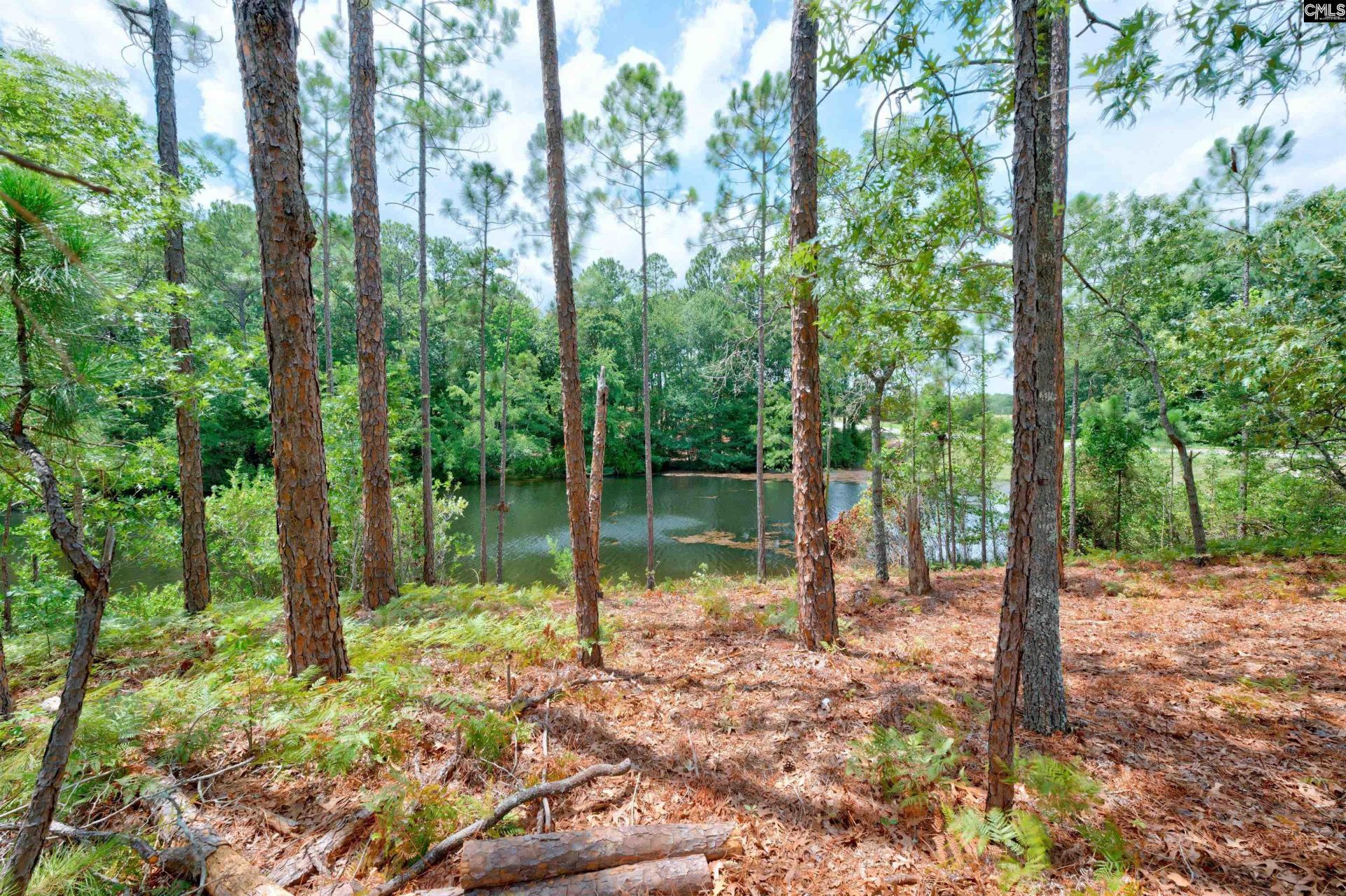 204 Sapphire Gem Lane Photo 47