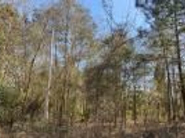 0 117TH COURT 98 & 99, Live Oak, FL 32060