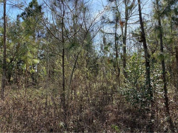 0 117TH LANE 89/104, Live Oak, FL 32060