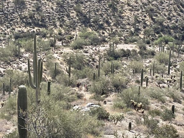 ''3'' N SILVER TIP Trail, Unit P, Queen Valley, AZ 85118