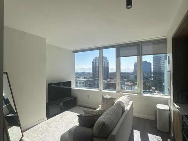 1000 S Michigan Avenue, Unit 1412, Chicago, IL 60605