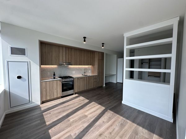 1000 S Michigan Avenue, Unit 1412, Chicago, IL 60605