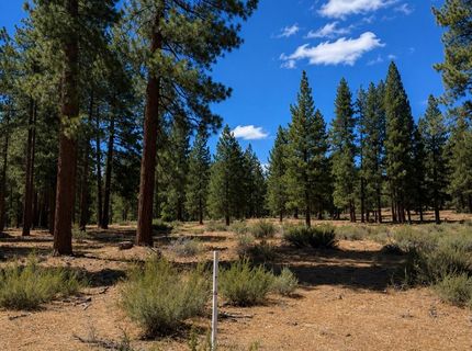 3571 Knob Point Trail, Lot #92, Carson City, NV 89705 Photo