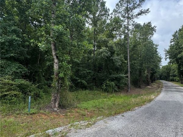 0 Old Marion Road, Duncanville, AL 35456