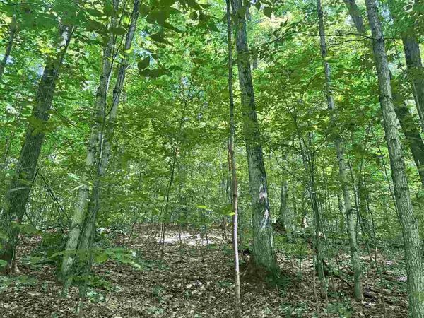 TBD Stark Road, Unit Parcel 5, Mancelona, MI 49659