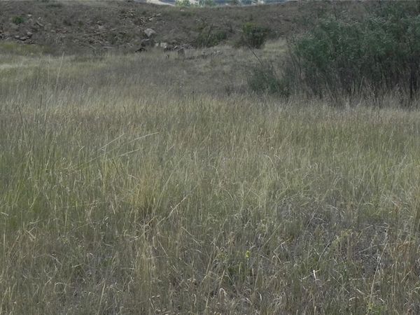 Lot 41-42 S 1st Street , Cripple Creek, CO 80813