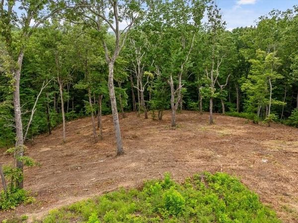 Lot 92 Timberline Trail, Talking Rock, GA 30175