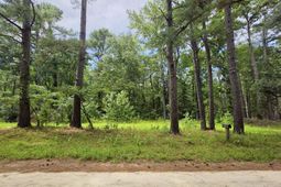10252 Old Georgetown Road photo 4