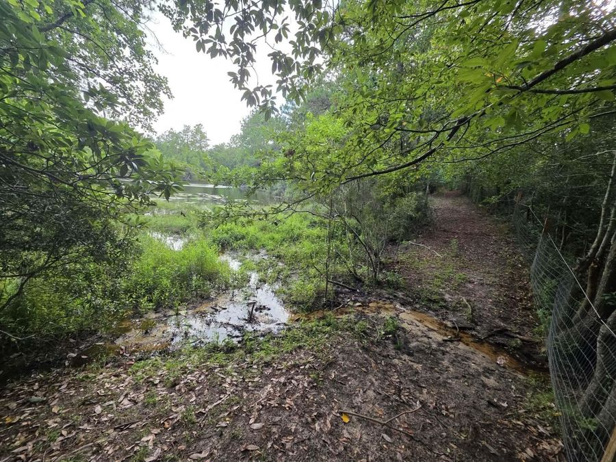 Property Image 60