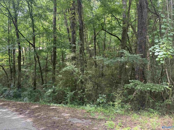 Lot 11 Davis Drive, Glencoe, AL 35904