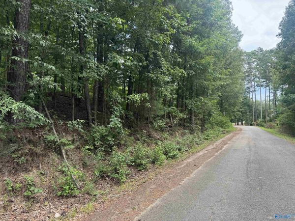 Lot 15 Davis Drive, Glencoe, AL 35904