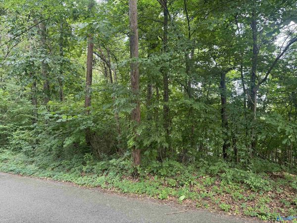 Lots 3-5 Halsey Street, Gadsden, AL 35901
