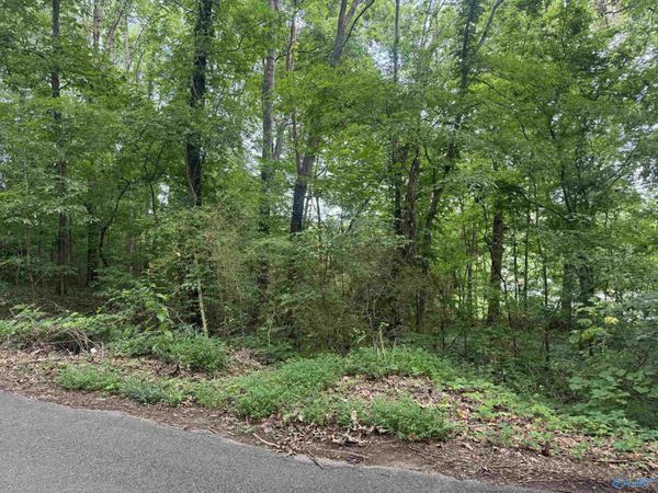 Lots 6-9 Halsey Street, Gadsden, AL 35901
