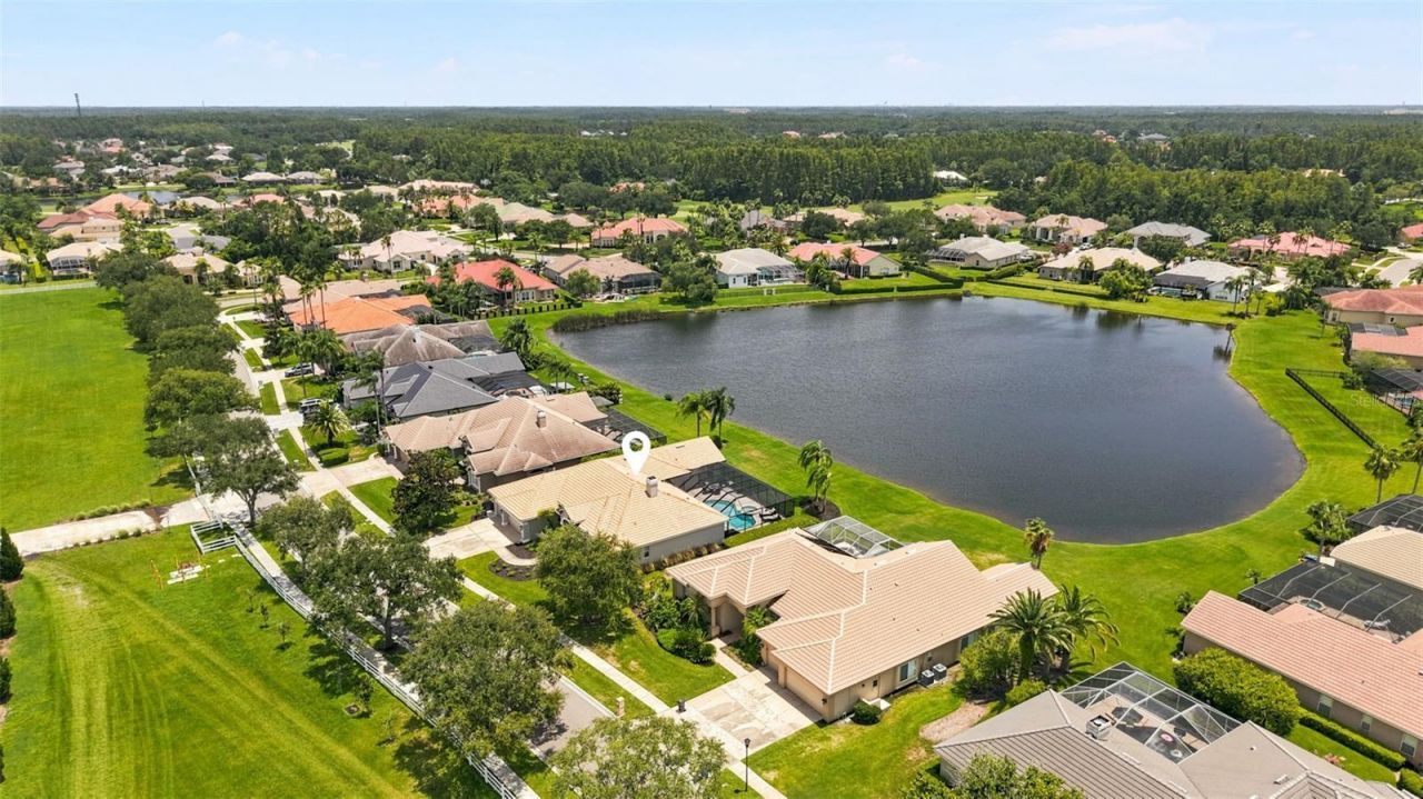 4618 Avenue Longchamps, Lutz, FL 33558 Photo