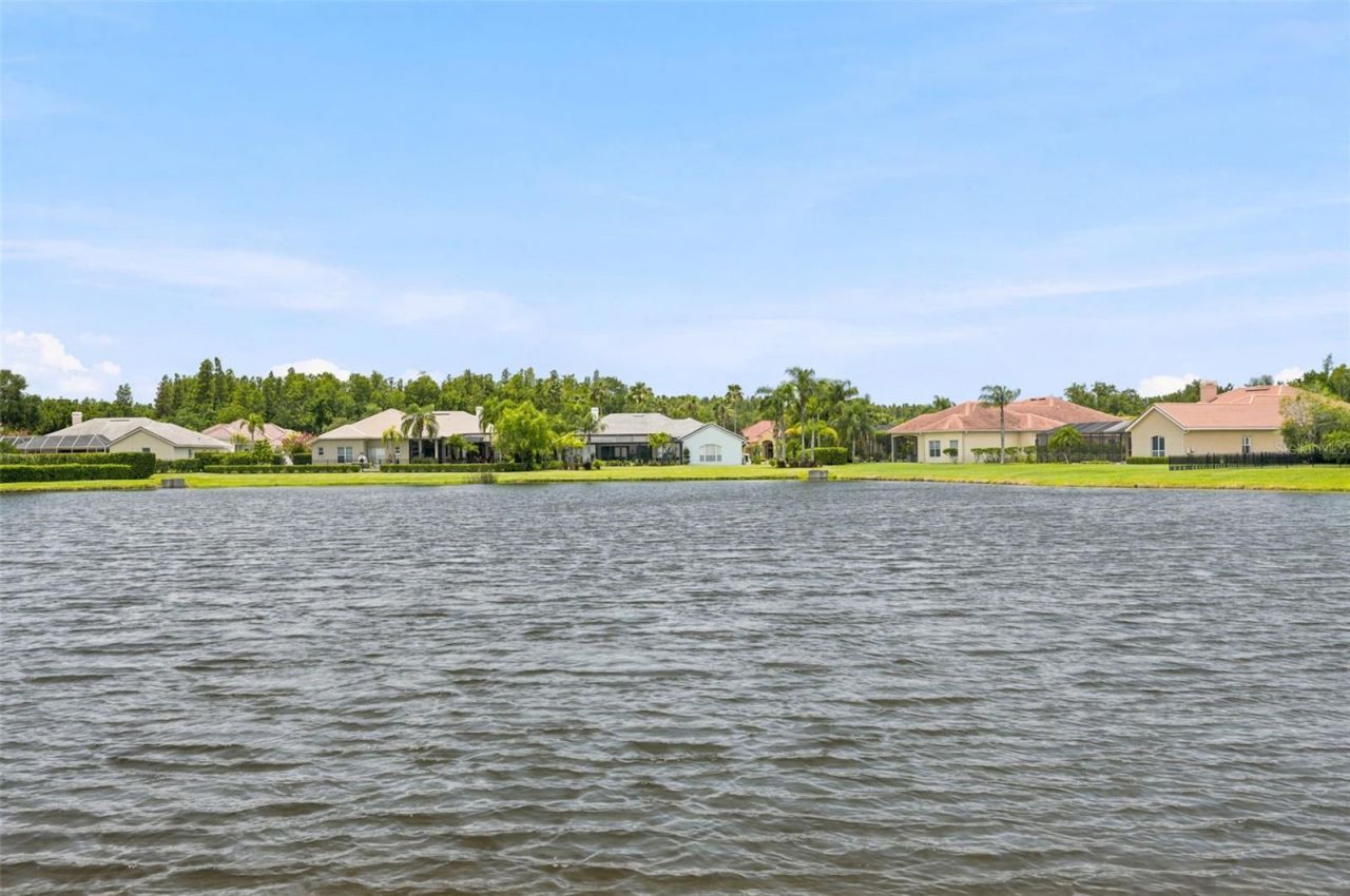 4618 Avenue Longchamps, Lutz, FL 33558 Photo