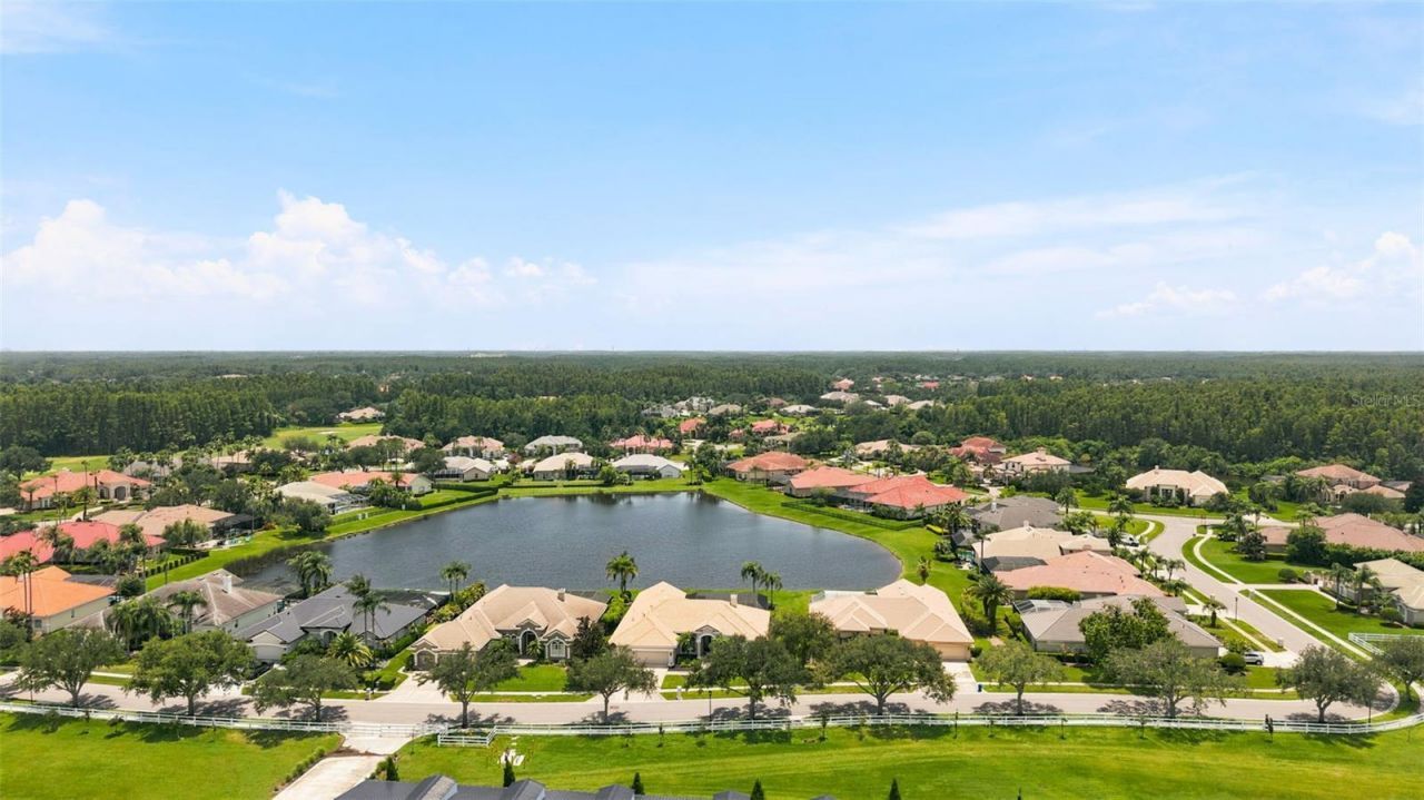 4618 Avenue Longchamps, Lutz, FL 33558 Photo