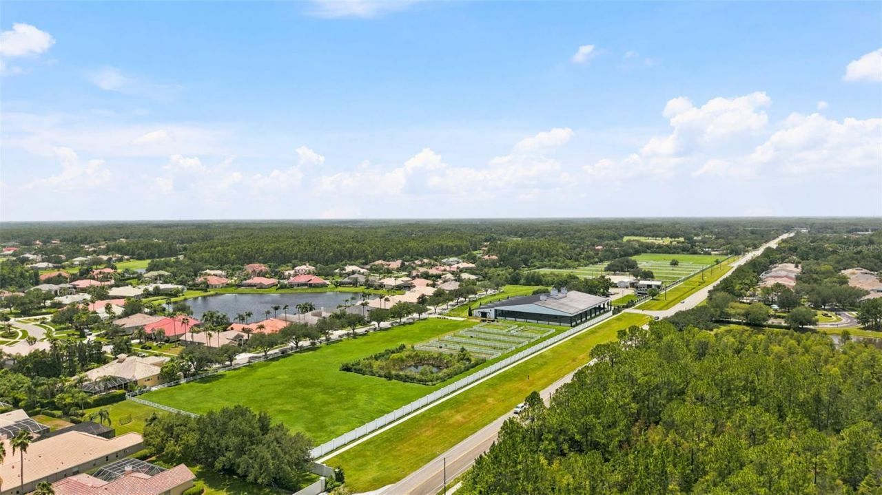 4618 Avenue Longchamps, Lutz, FL 33558 Photo