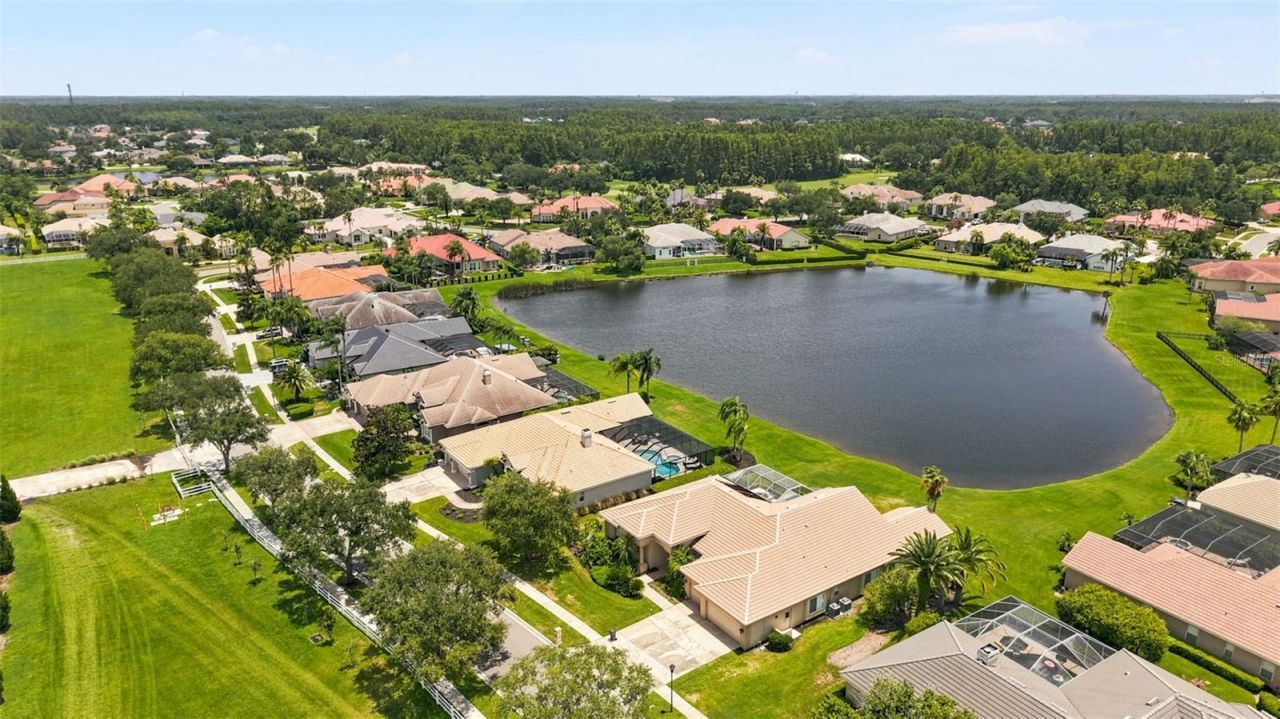 4618 Avenue Longchamps, Lutz, FL 33558 Photo
