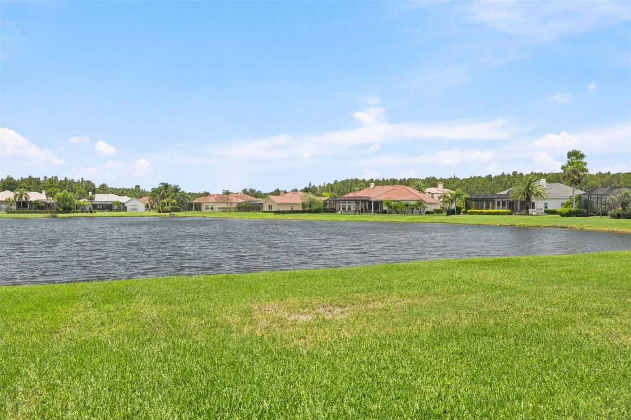 4618 Avenue Longchamps, Lutz, FL 33558 Photo