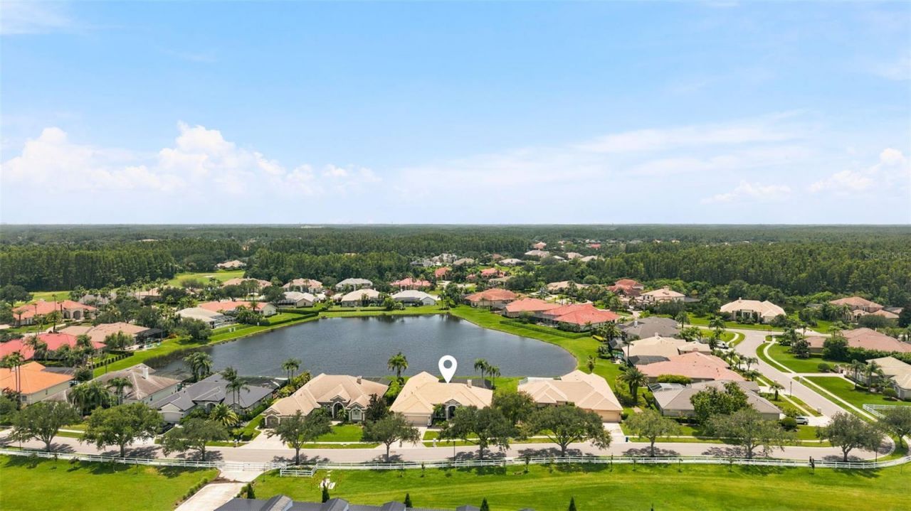 4618 Avenue Longchamps, Lutz, FL 33558 Photo