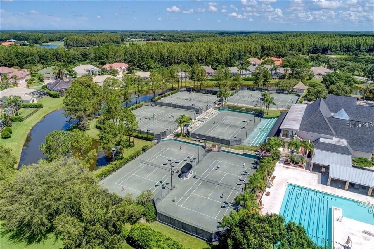 4618 Avenue Longchamps, Lutz, FL 33558 Photo