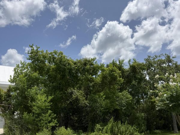 Ridgewood Circle, Pass Christian, MS 39571
