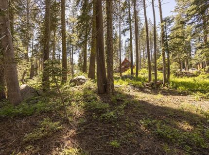 3236 Slumber Way, Soda Springs, CA 95728 Photo