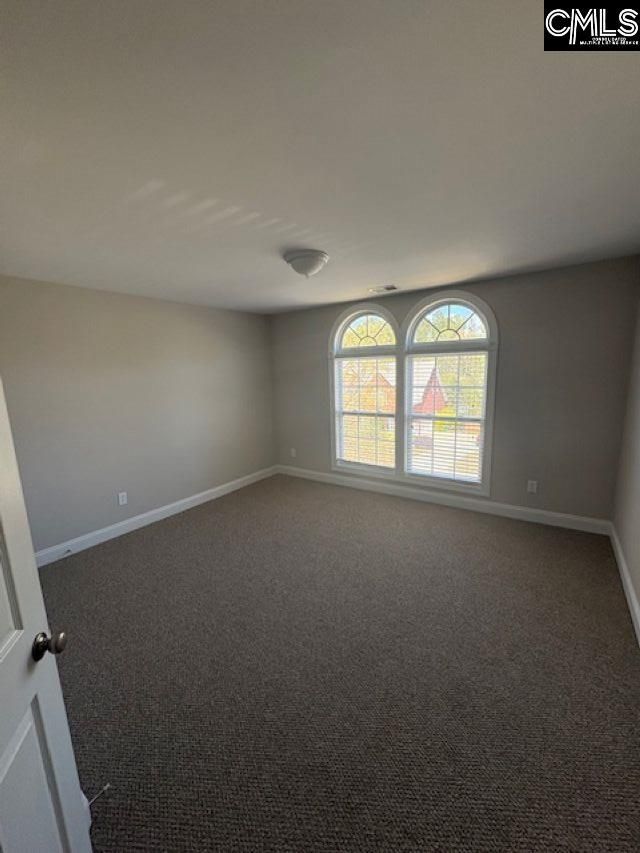 108 Black Walnut Drive  Photo 29