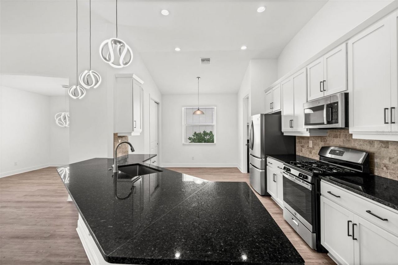 15880 Elina Sky Drive, Punta Gorda, FL 33982 Photo