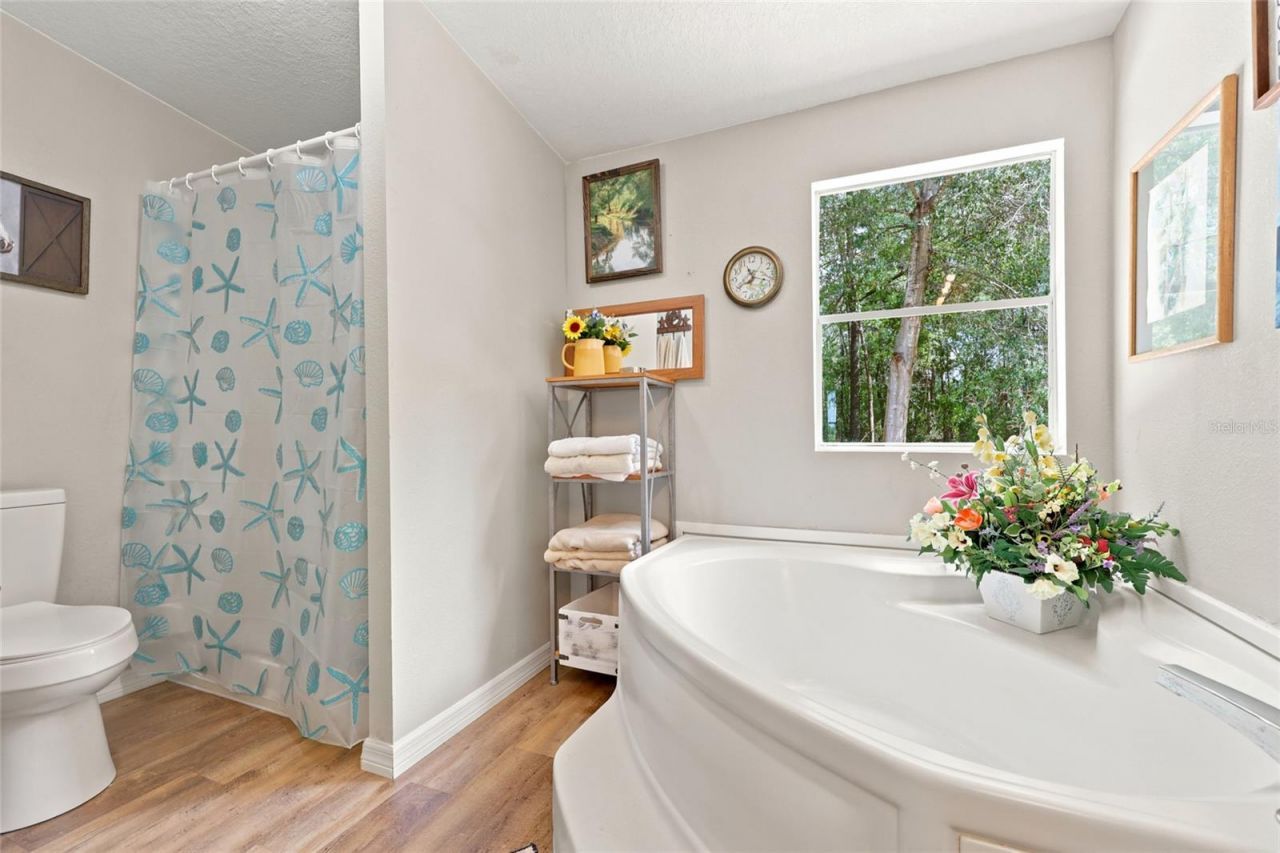 3562 NW 20th Avenue, Bell, FL 32619 Photo