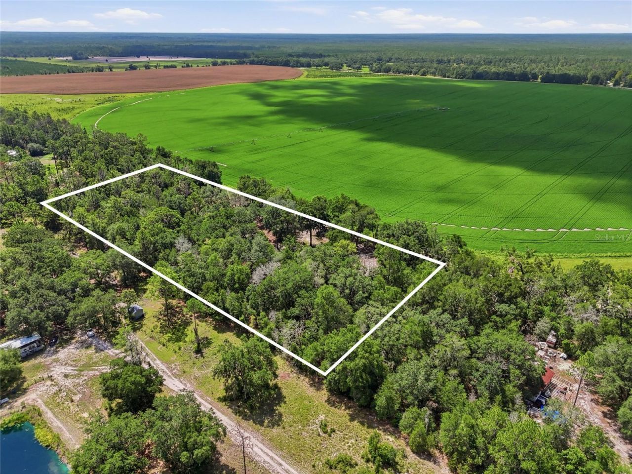 3562 NW 20th Avenue, Bell, FL 32619 Photo