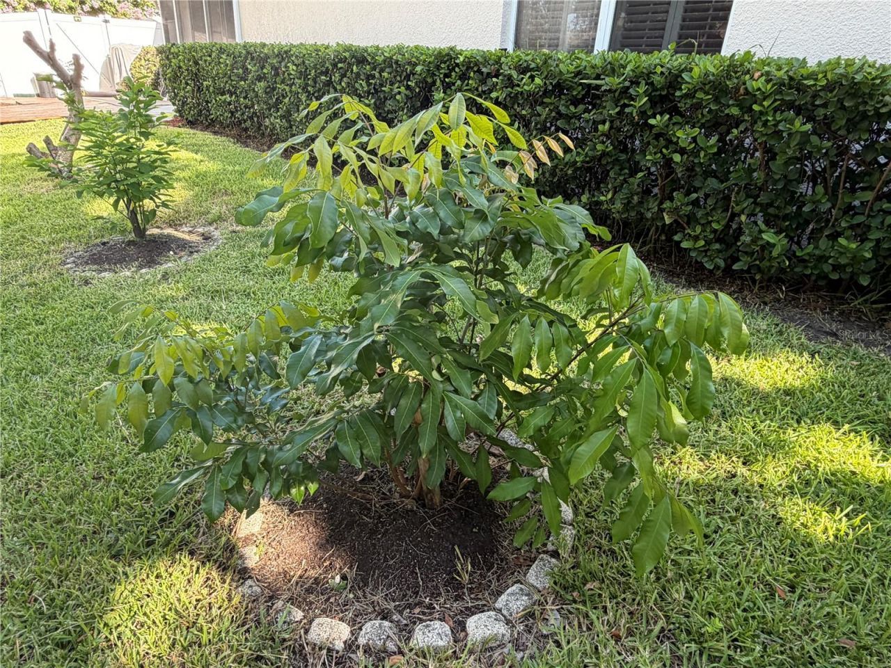 13006 Sunkiss Loop, Windermere, FL 34786 Photo