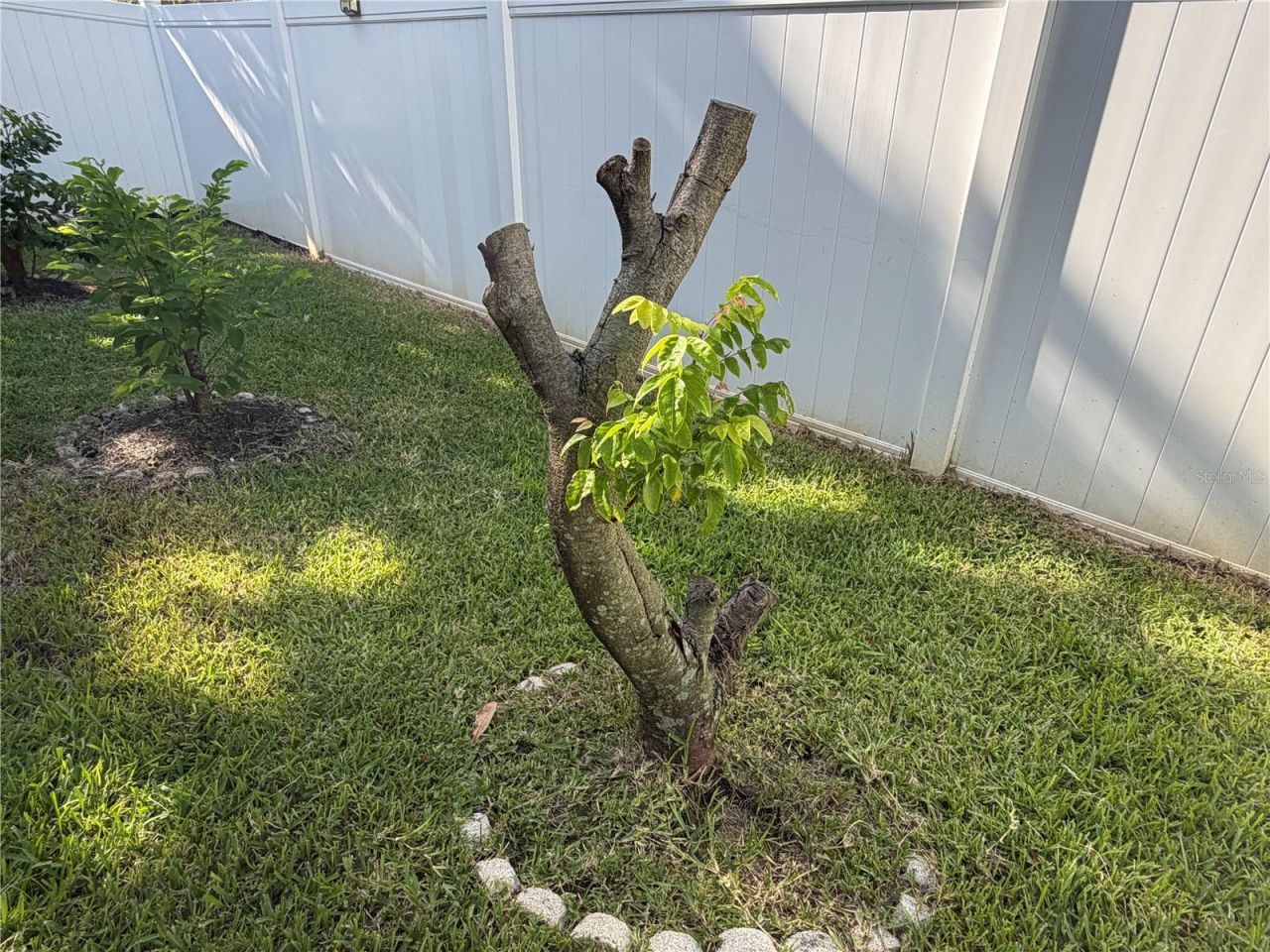 13006 Sunkiss Loop, Windermere, FL 34786 Photo