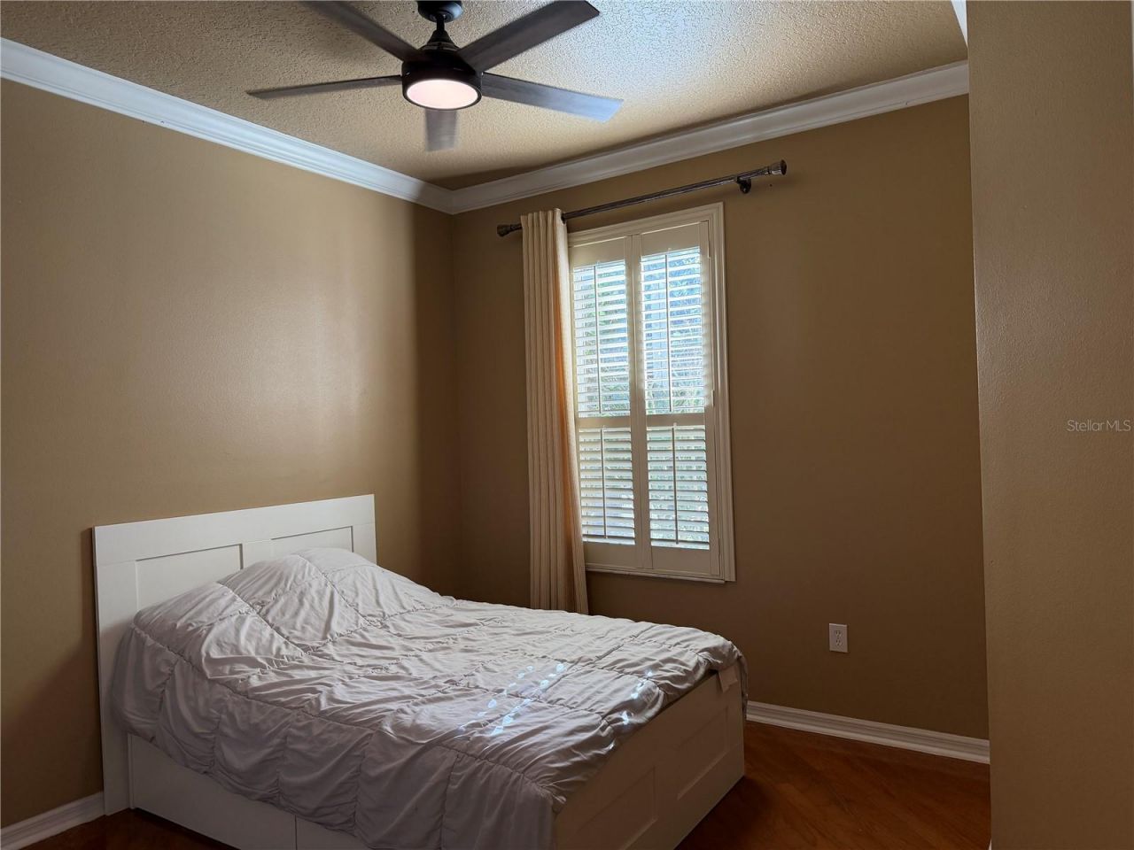 13006 Sunkiss Loop, Windermere, FL 34786 Photo