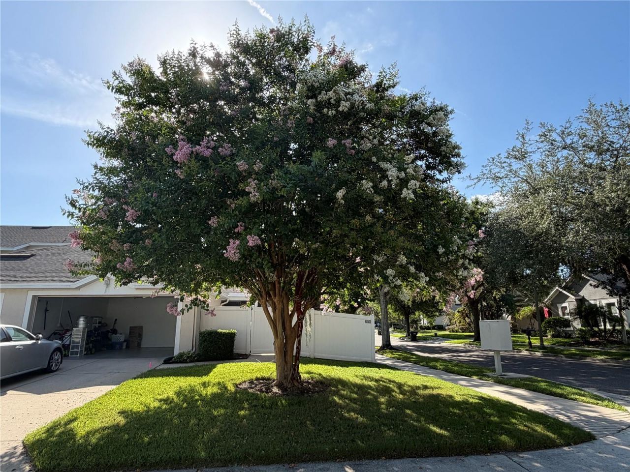 13006 Sunkiss Loop, Windermere, FL 34786 Photo
