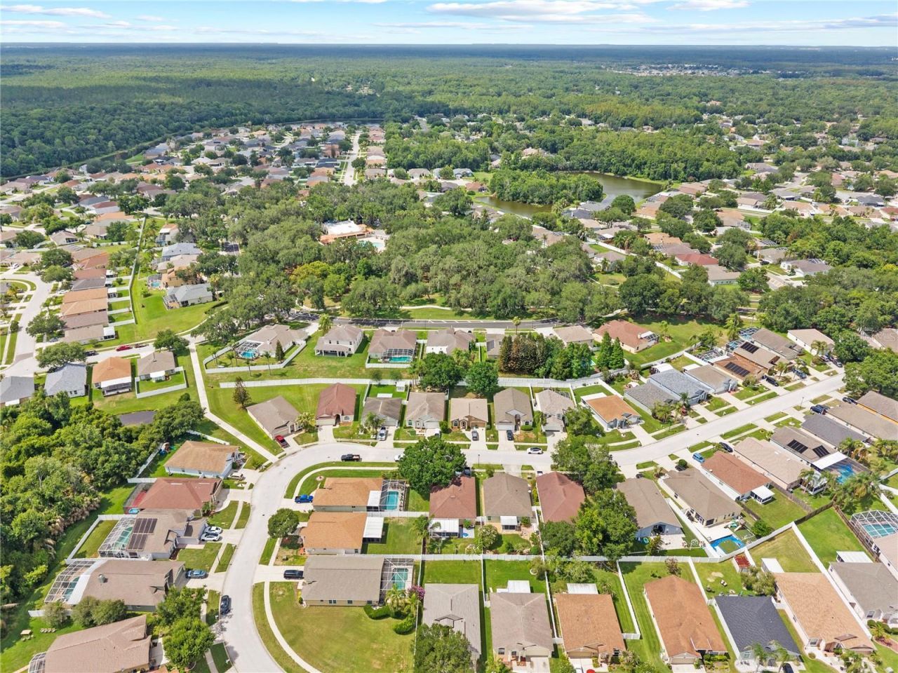 25237 Seven Rivers Circle , Land O Lakes, FL 34639 Photo