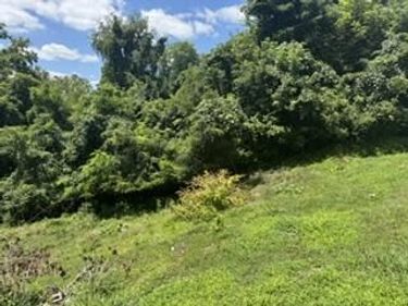 4116 Hart Street, Ashland, KY 41101