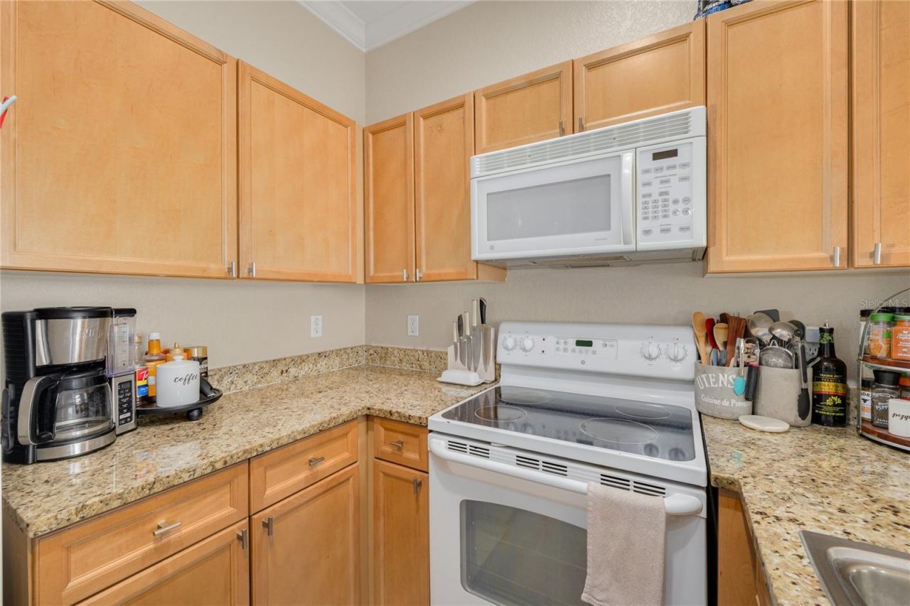 10015 6th Street N, Saint Petersburg, FL 33702 Photo