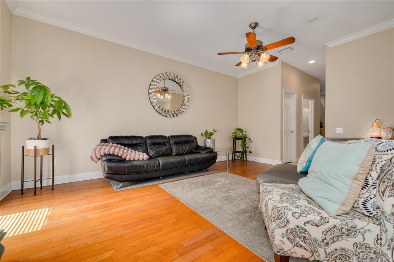 10015 6th Street N, Saint Petersburg, FL 33702 Photo
